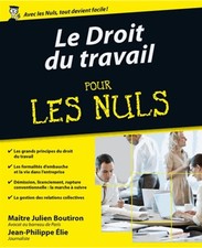 Droit travail nuls d'occasion  Hennebont