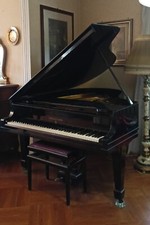 Pianoforte coda steinway usato  Rivoli
