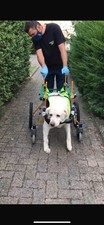 Carrellino ortopedico per usato  Pavia