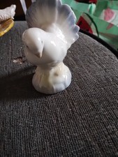 Porcegama white bird for sale  COVENTRY