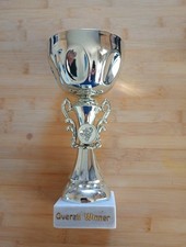 Sports trophy 10ins for sale  CREWE