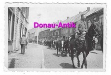 Foto transport belgische gebraucht kaufen  Regensburg