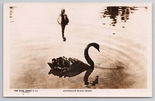 Postcard rppc australian for sale  Muncie