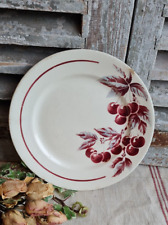 Ancienne assiette plate d'occasion  Le Poinçonnet