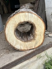 Baumscheibe hohl klotz gebraucht kaufen  Neustrelitz