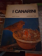 Libro canarini giuseppe usato  Breno