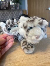 Snow leopard cub for sale  ROTHERHAM