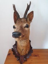 Cabinet curiosités tête d'occasion  L'Aigle