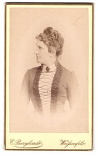 Fotografia E. Burghardt, Weissenfels, Am Hirsemannplatz, Elegancka Dama z trzpieniem  na sprzedaż  Wysyłka do Poland