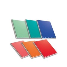 Monocromo pz. maxi usato  Roma