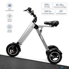 Lightweight electric tricycle for sale  USA