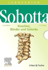 Sobotta lernkarten knochen gebraucht kaufen  Köln
