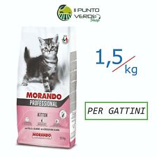 Morando miglior gatto usato  Corropoli