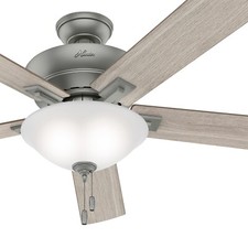 Hunter fan traditional for sale  Carol Stream