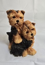 Yorkie pair 4.5 for sale  Murray