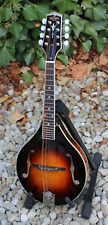 Sigma mandoline style gebraucht kaufen  Steinhöring