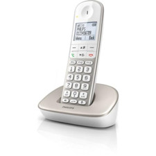Philips dect xl4901s usato  Roccagloriosa