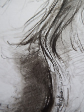 Fine art charcoal d'occasion  Expédié en Belgium