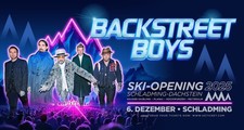 Backstreet boys ski gebraucht kaufen  Offenbach am Main