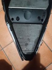 Radiatore aqua ducati usato  Torre Canavese