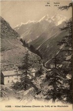 Hotel edelweiss chemin gebraucht kaufen  Eimeldingen