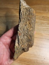 Inch stunning dinosaur for sale  SOLIHULL