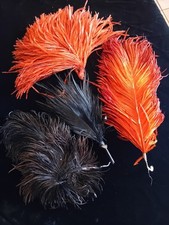 Ensemble plumes anciennes d'occasion  Fauville-en-Caux