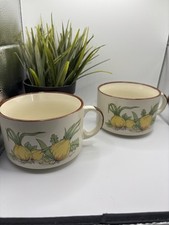Retro onion soup for sale  YARM