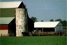 Cartão postal Amish Farmers milh silo John Penrod Estados Unidos Pensilvânia Ohio Ind comprar usado  Enviando para Brazil