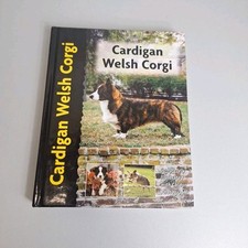 Cardigan welsh corgi for sale  SWANSEA