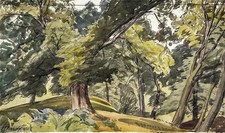 Cedric kennedy watercolour for sale  UK