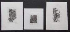 Jakubowski exlibris 1 gebraucht kaufen  Wittenberg