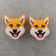 Welsh corgi dog for sale  Brighton