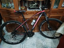 Vendo mountain bike usato  Palermo
