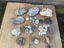 Large selection fossil for sale  KNARESBOROUGH