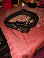 Hundehalsband gebraucht kaufen  Lenggries
