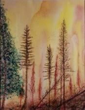 Original 1998 watercolor for sale  College Park