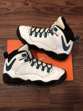 Nike air darwin usato  Spedire a Italy