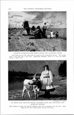 Vintage 1939 farming for sale  Cedar Knolls