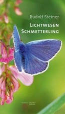 Lichtwesen schmetterling vortr gebraucht kaufen  Berlin