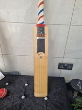 Salix ajk wasp for sale  BIRMINGHAM