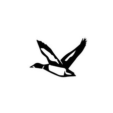 Autocollant canard colvert d'occasion  France
