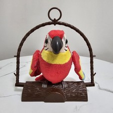 Talking repeating parrot for sale  Fayetteville
