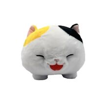 Amuse calico cat for sale  Lutz
