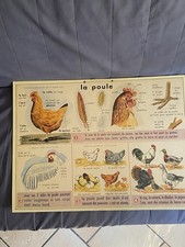 Carton scolaire instruction d'occasion  Narbonne