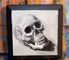 Skull still life for sale  Crown Point