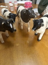 Collection cows for sale  Clearfield