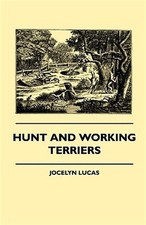Hunt working terriers for sale  DERBY