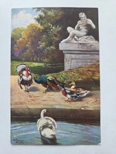 Vintage postcard peacock for sale  RUNCORN