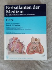 netter anatomie gebraucht kaufen netter anatomie gebraucht kaufen Erfurt